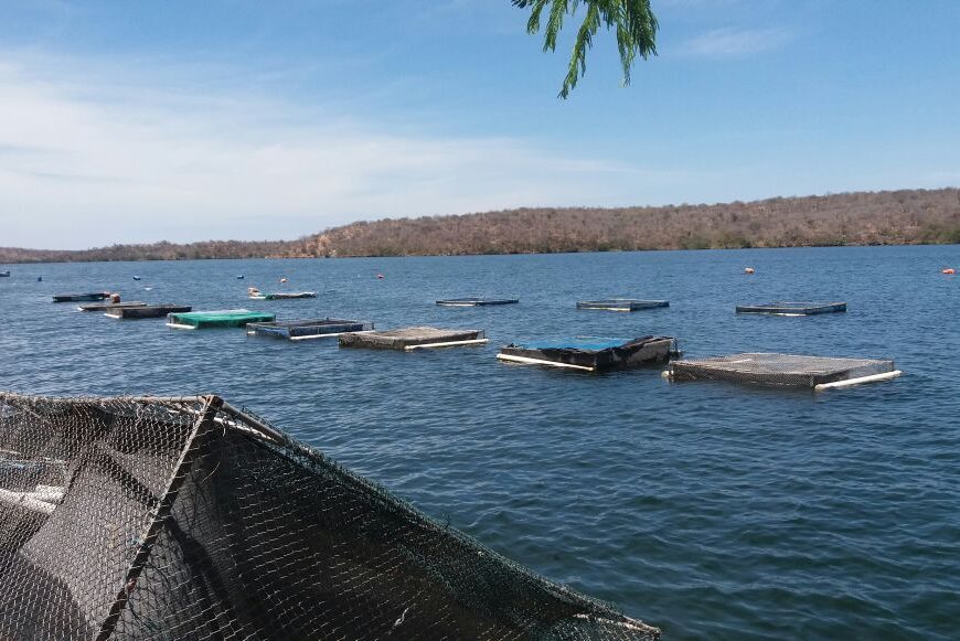 Equipe Aquática da FPI/SE flagra piscicultura irregular nas águas do Velho Chico