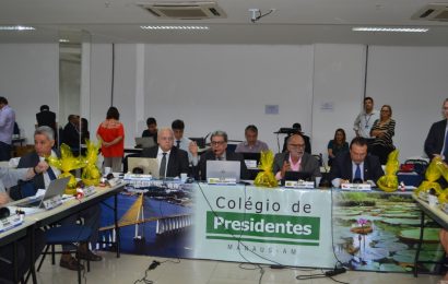 Colégio de Presidentes cria Grupo de Trabalho para reformulação de Resolução 1.093