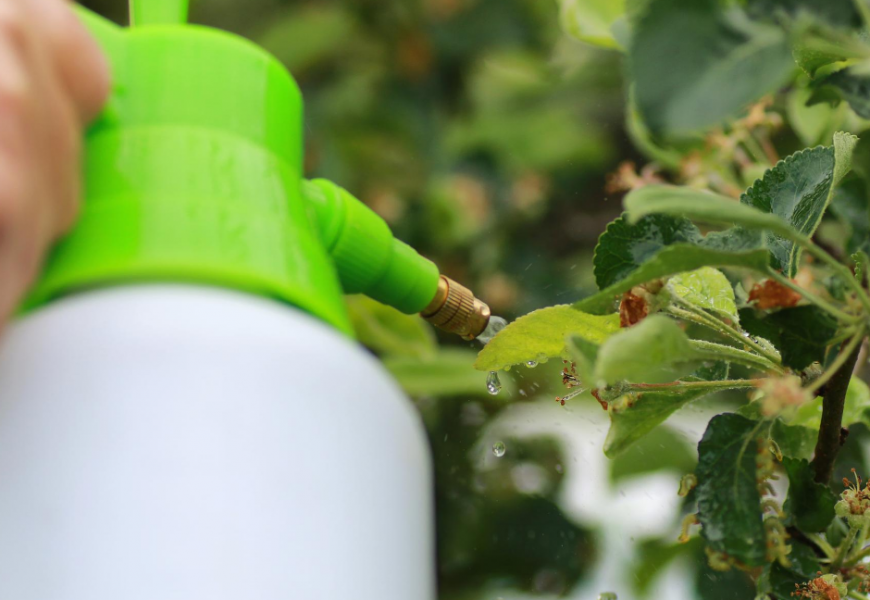 Sistema Digital de Receituário Agronômico será lançado segunda-feira pelo Crea-SE