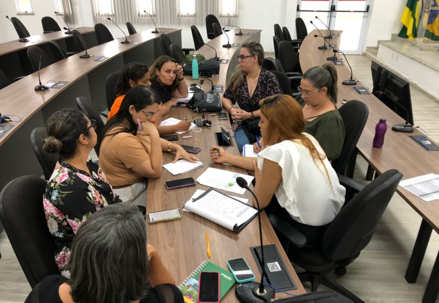 Comitê Gestor do Programa Mulher do Crea-SE inicia suas atividades para o ano de 2024